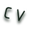 curriculum vitae